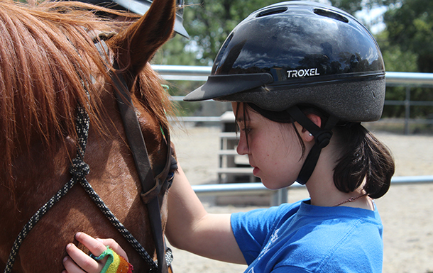 up close picture of a girl face to face with a horse petting the horse's face